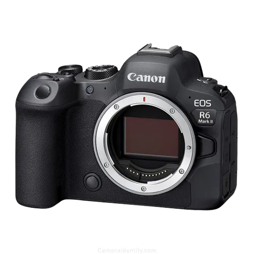 canon eos r6 mark ii picture